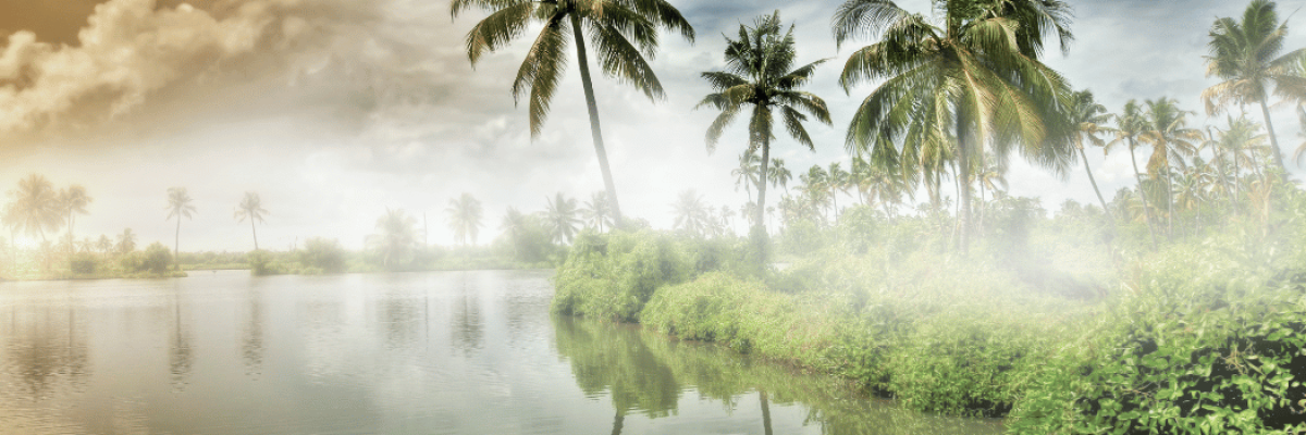Blog Post Images Kerala